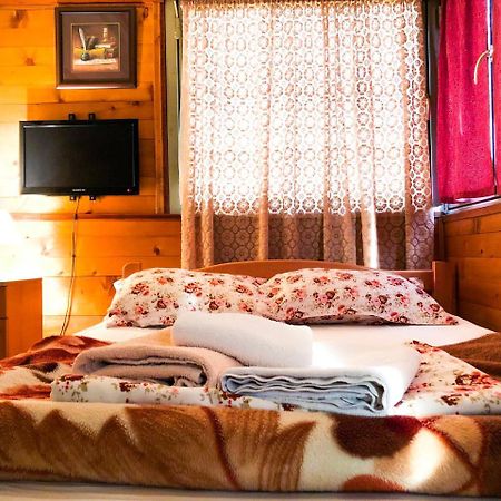 Vila Aleksandar Smederevo Exteriér fotografie